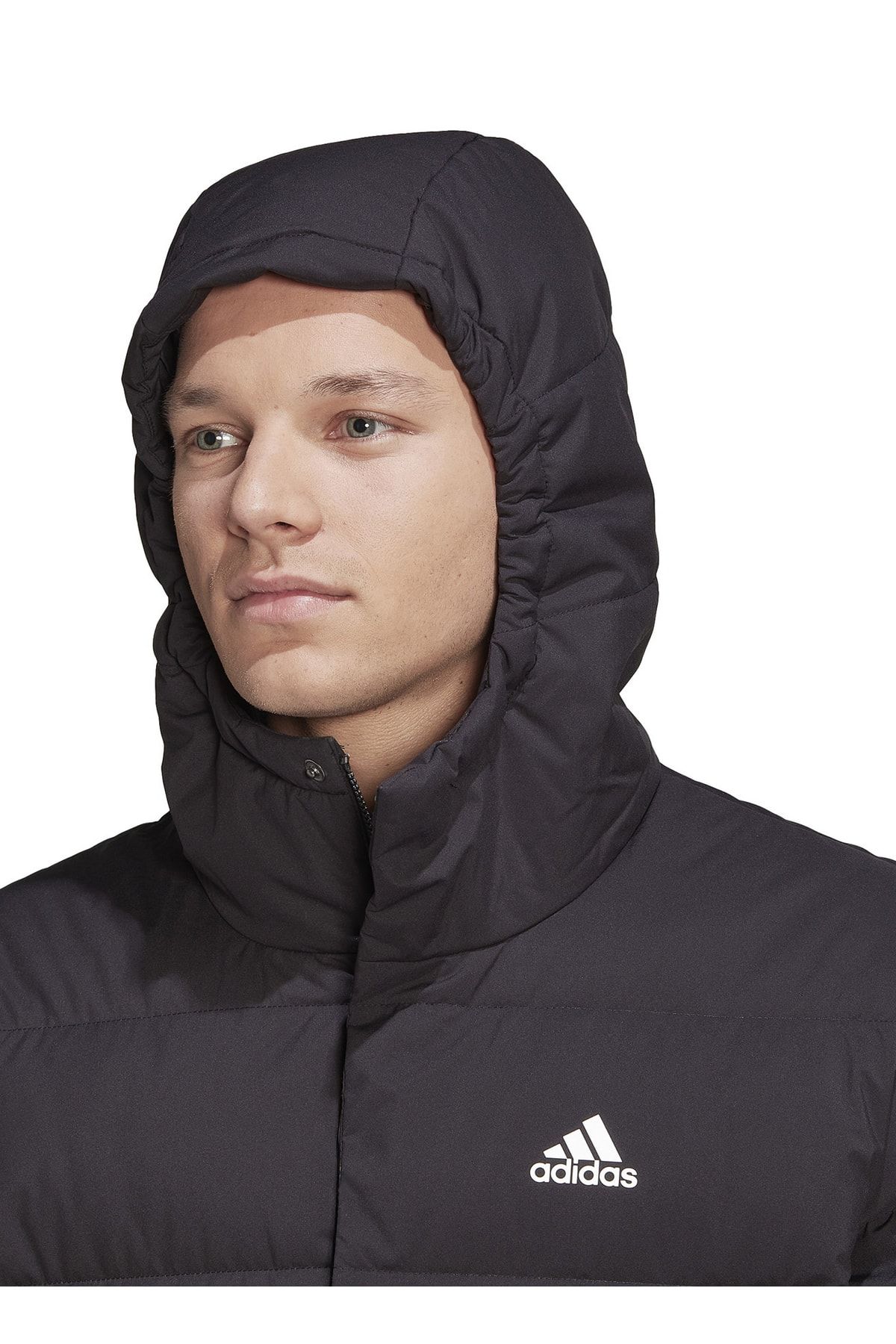 Adidas jacket large best sale
