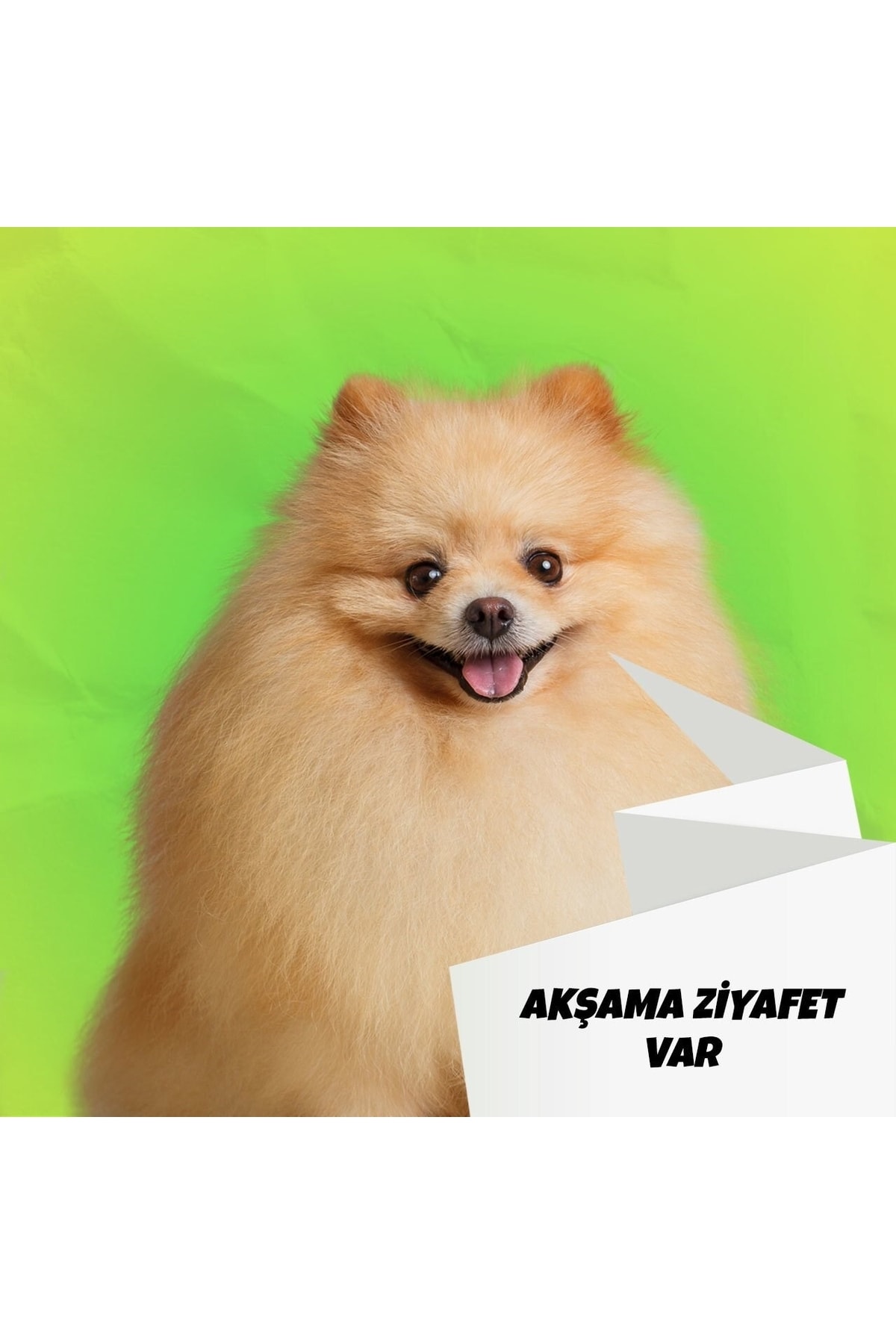 BARFTR Mix Barf Kg Salam Paket Köpek Maması 12x500 Gr Fiyatı