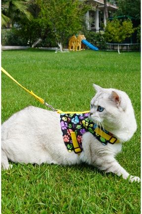 Kaçış Önleyici Kedi Gezdirme Tasması Ve Küçük Irk Köpek Gezdirme Tasması PP-Y1001