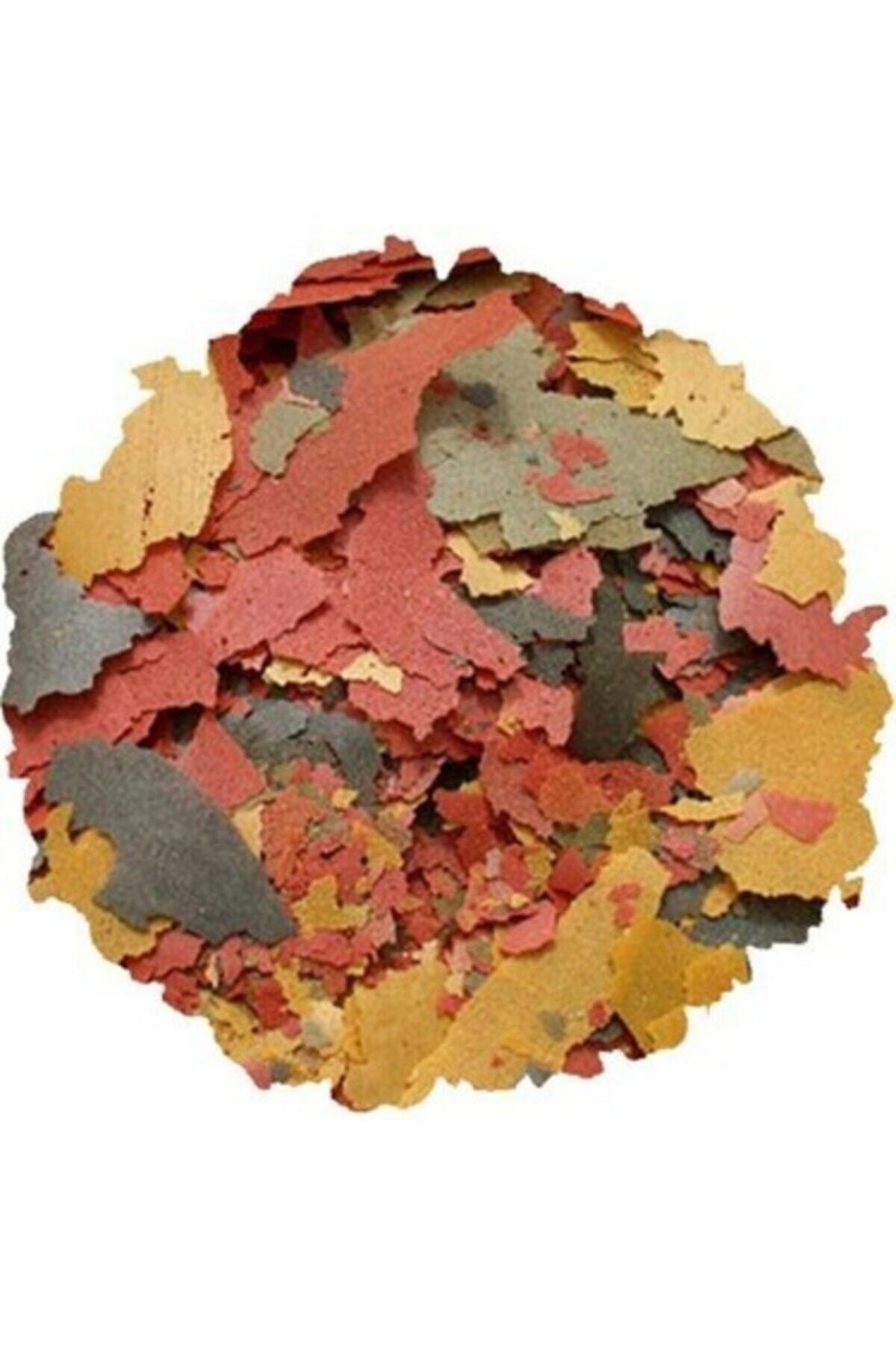 hanımelipetstore Tropical Flakes 100gr Pul Yem