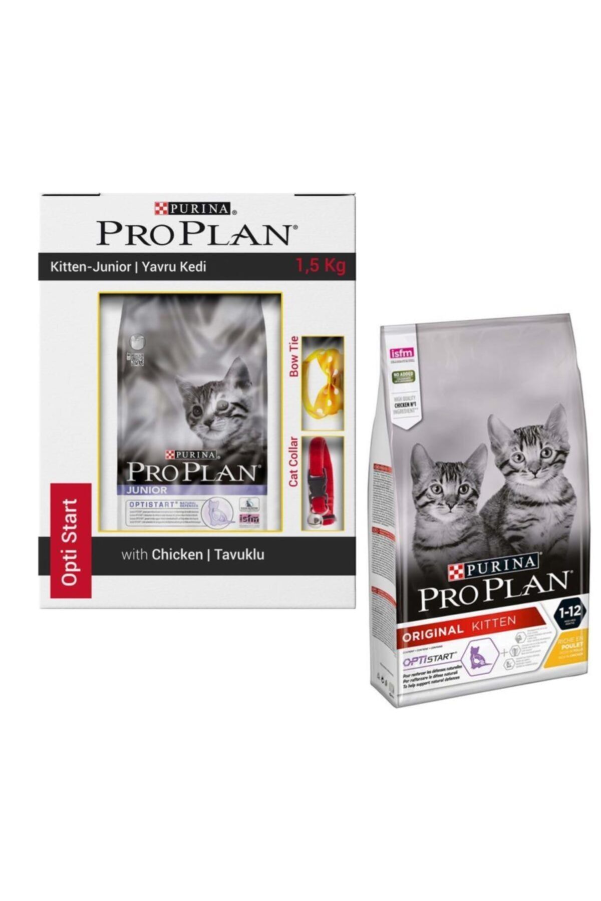 Pro plan kitten