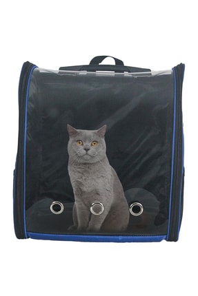 evene kedi tasima cantasi astronot kedi kopek seffaf sirt cantasi fiyati yorumlari trendyol