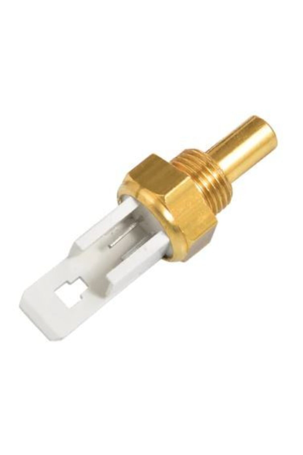 Eca Kombi Daldırma Tipi Ntc (sıcak Su)