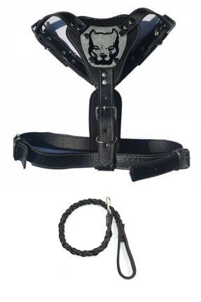 mamanburada buyuk irk hakiki deri boyun ve gezdirme tasmasi pitbull baskili fiyati yorumlari trendyol