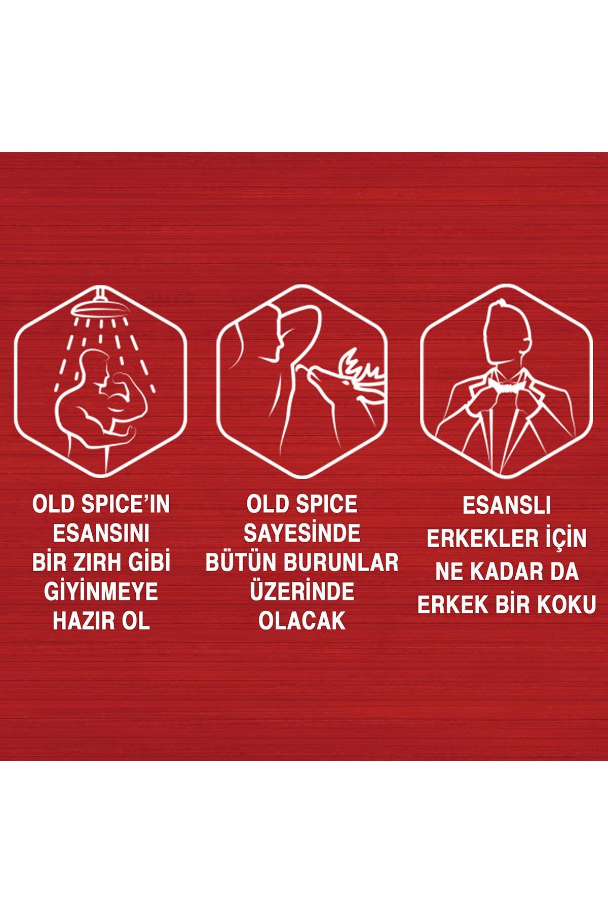 10 org zoom - ترند تهران