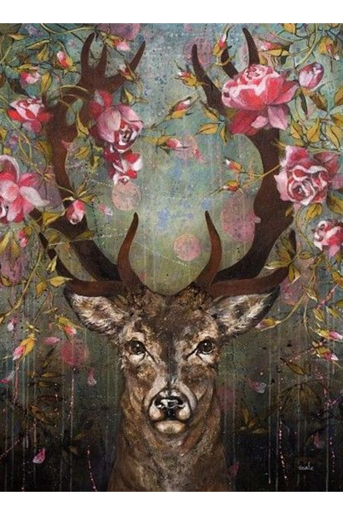 олень цветок. благородный олень великобритании. олень цветок. берберийский олень. красный олень.