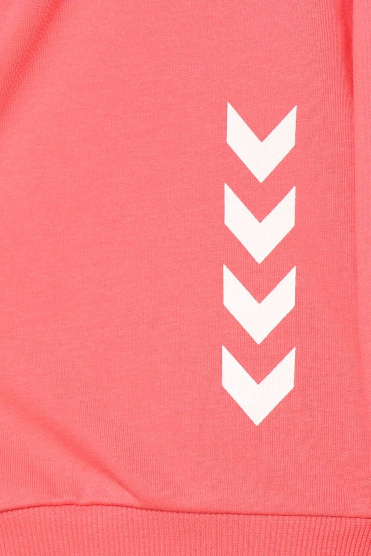 hummel پیراهن زیپ Pink Felinos 921164-1002