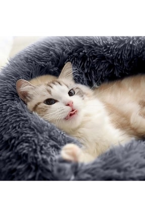 arslan deco Kedi Köpek Battaniyesi Welsoft Ürün 100 Cm *85 Cm