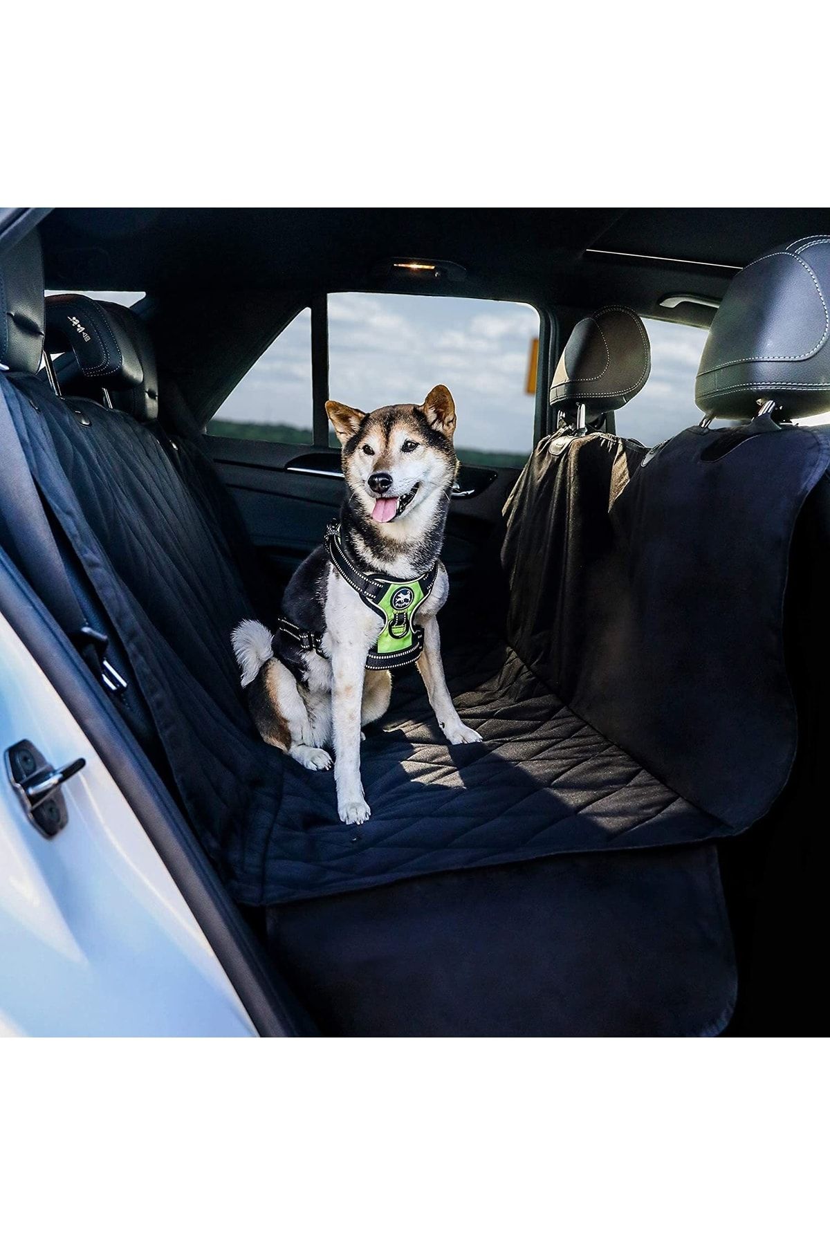 Pet outlet car protector