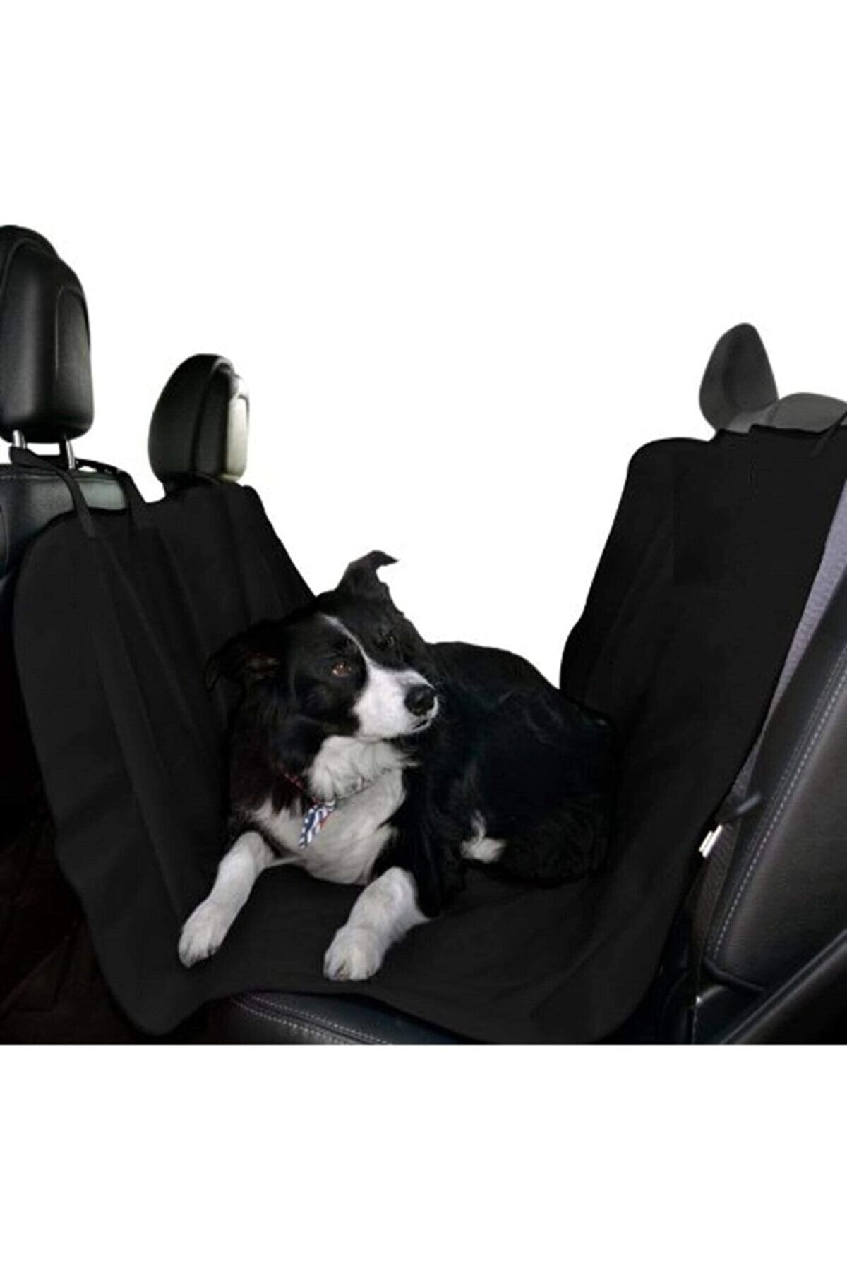 Pet seat hot sale covers near me