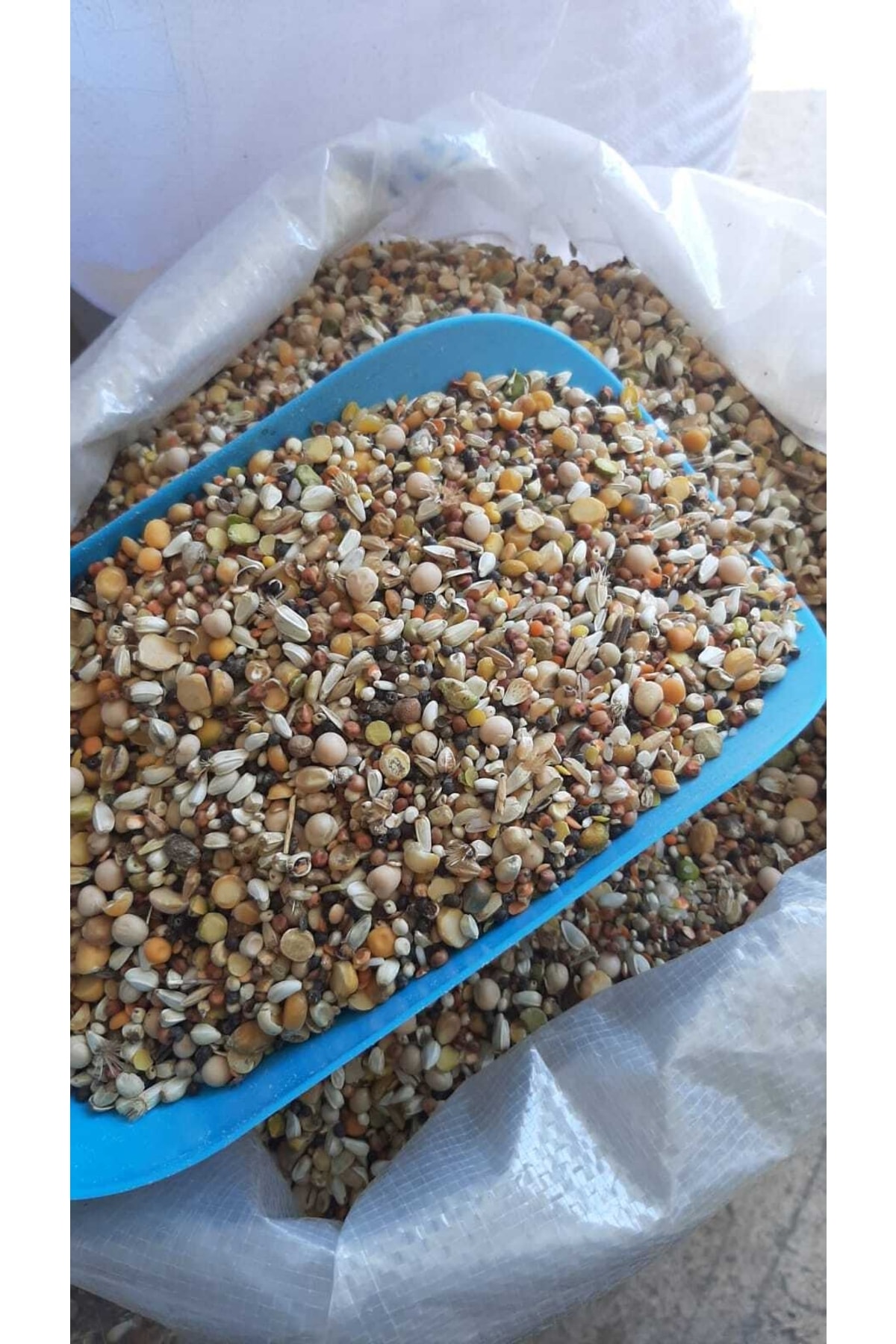 bakış tarımsal ürünler Karışık Güvercin Yemi 5 Kg