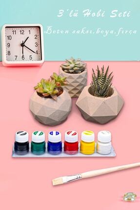 Urun Adasi Uclu Kaktus Beton Saksi Boyama Seti Fiyati Yorumlari Trendyol