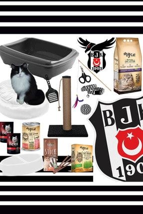kedi baslangic 15 parca mega paket