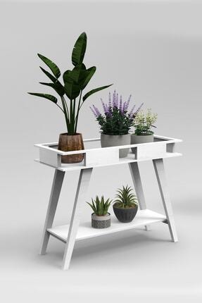 Laluxe Dekoratif Ahsap Ic Dis Mekan Ciceklik Fiyati Yorumlari Trendyol