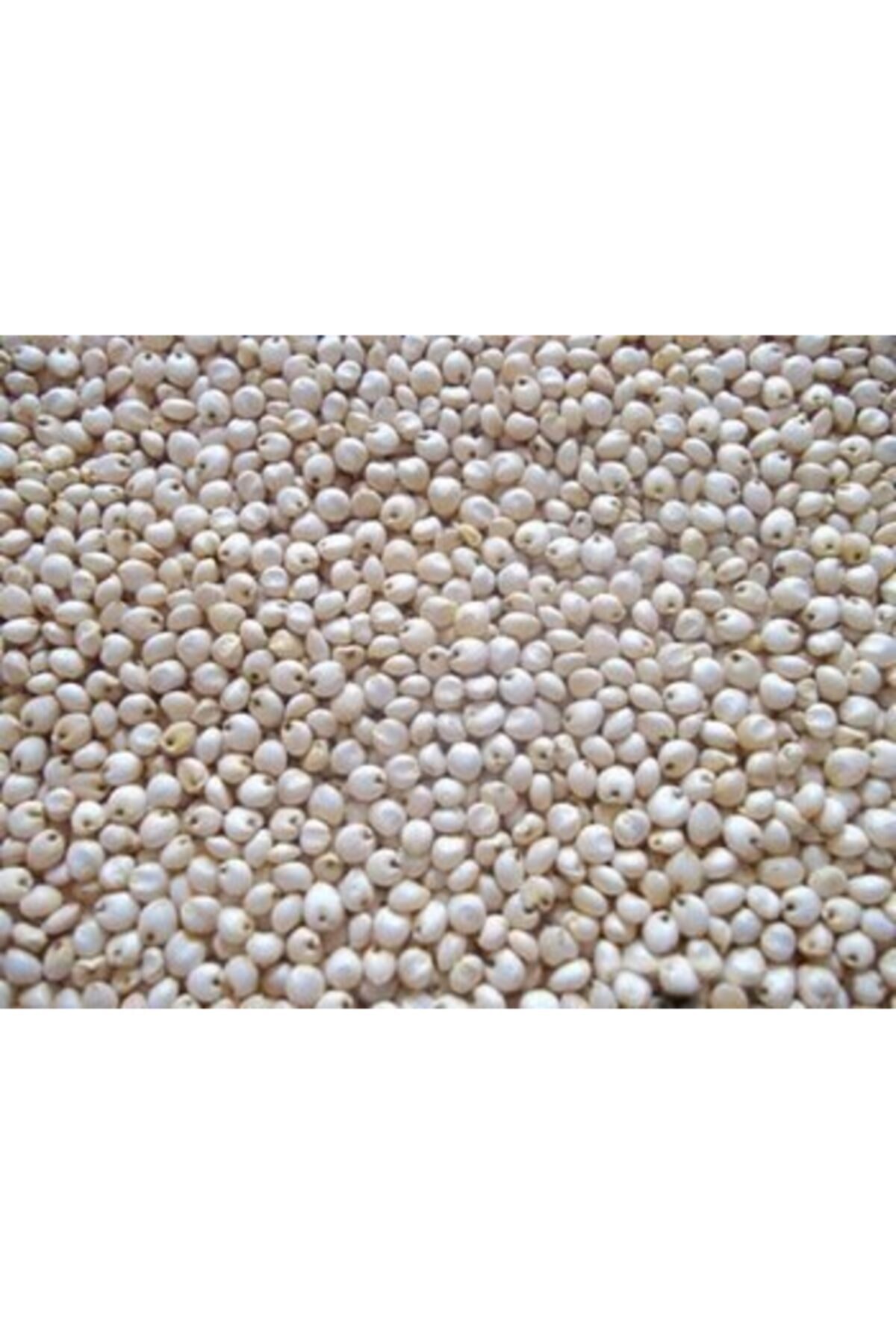 Сорго Крупа Купить