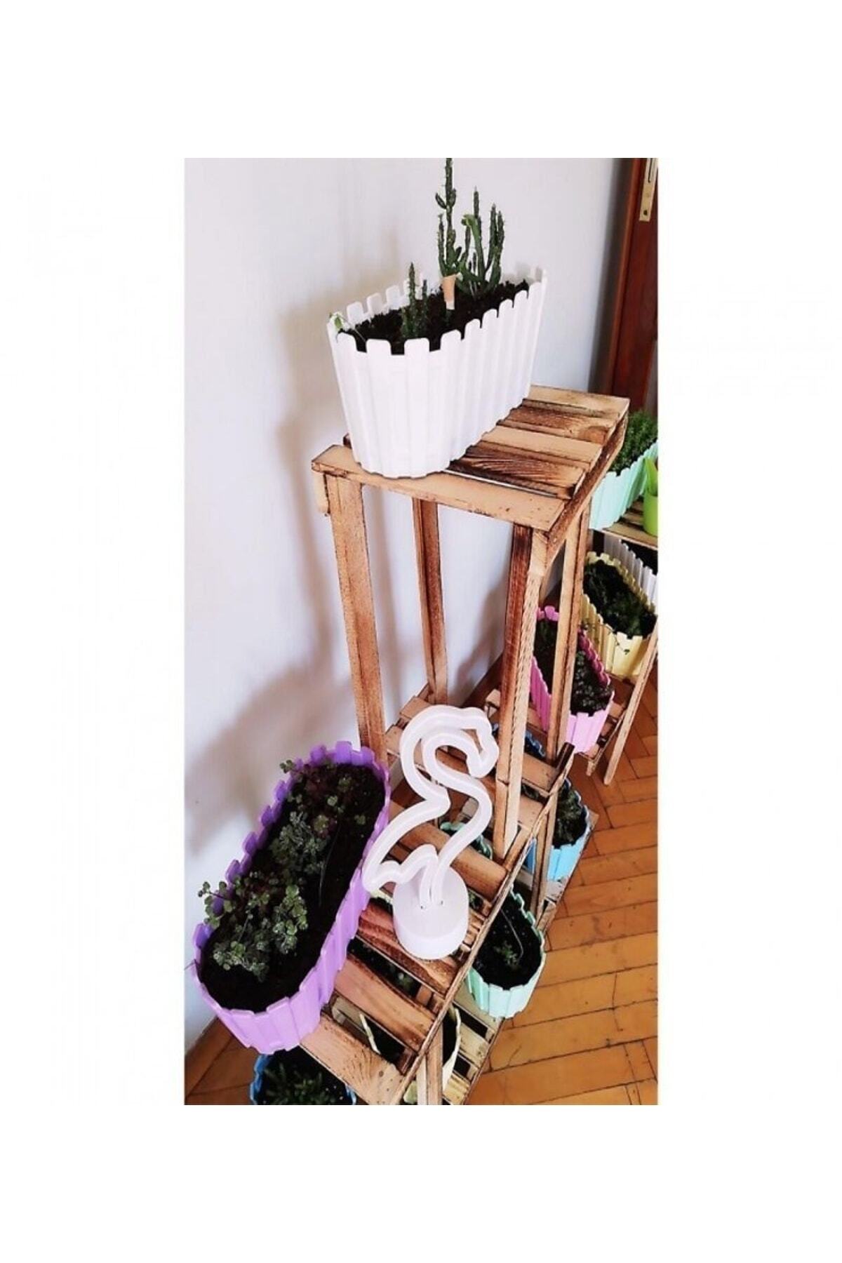 30 Cm Renkli Akasya Saksı,çit Saksı,bahçe Balkon Saksısı-2 Adet 2