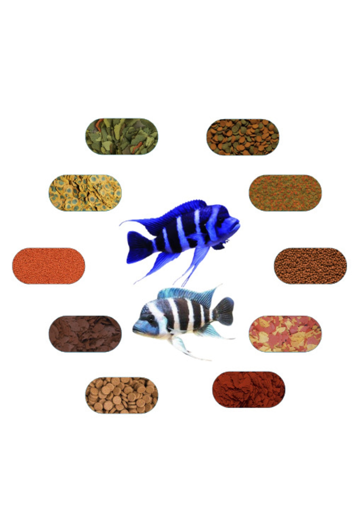 Genel Markalar Frontoza Özel Yem Paketi ( Moba,brundi Vb.) 50 Gr/ad (7 ÇEŞİT)