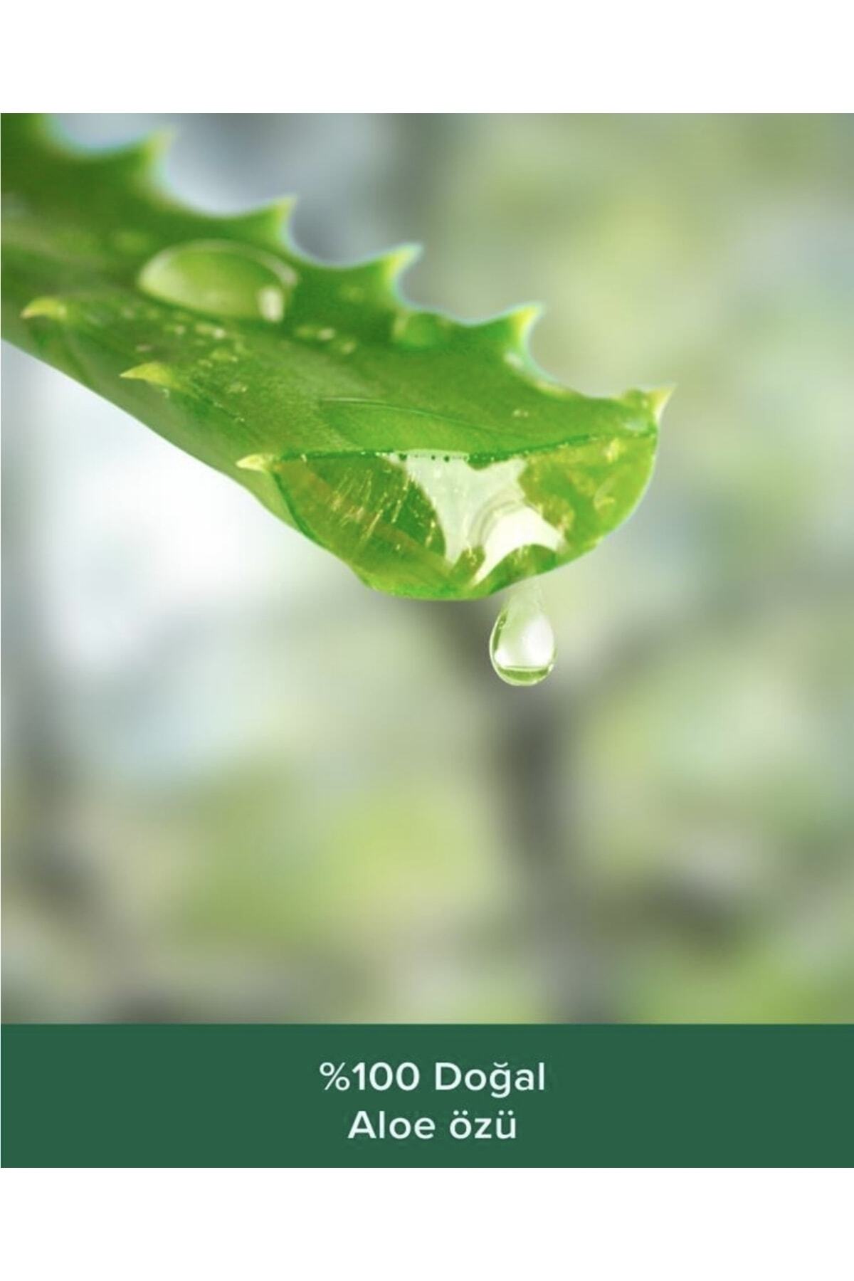 ژل و کرم دوش زنانه – مردانه  Palmolive | 1 اورجینال - تصویر 2