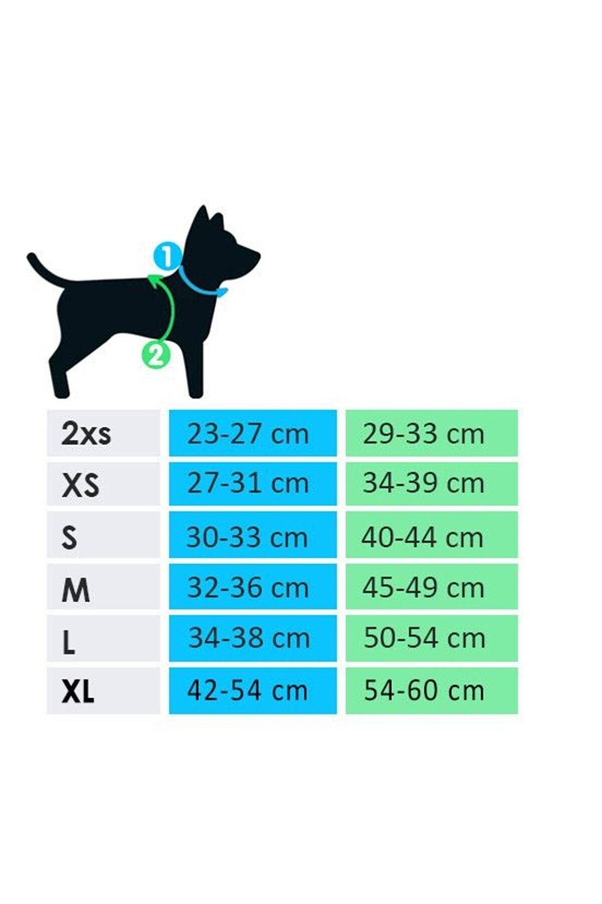 Alphadog Design-Colorbox Air Mesh Cat and Dog Collar 3