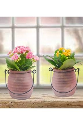 2'li Kalanchoe Cam Fener Saksıda Twist Pencere Önü Çiçeği Serisi &kalanşo Canlı Bitki & 15-20 Cm CS0621