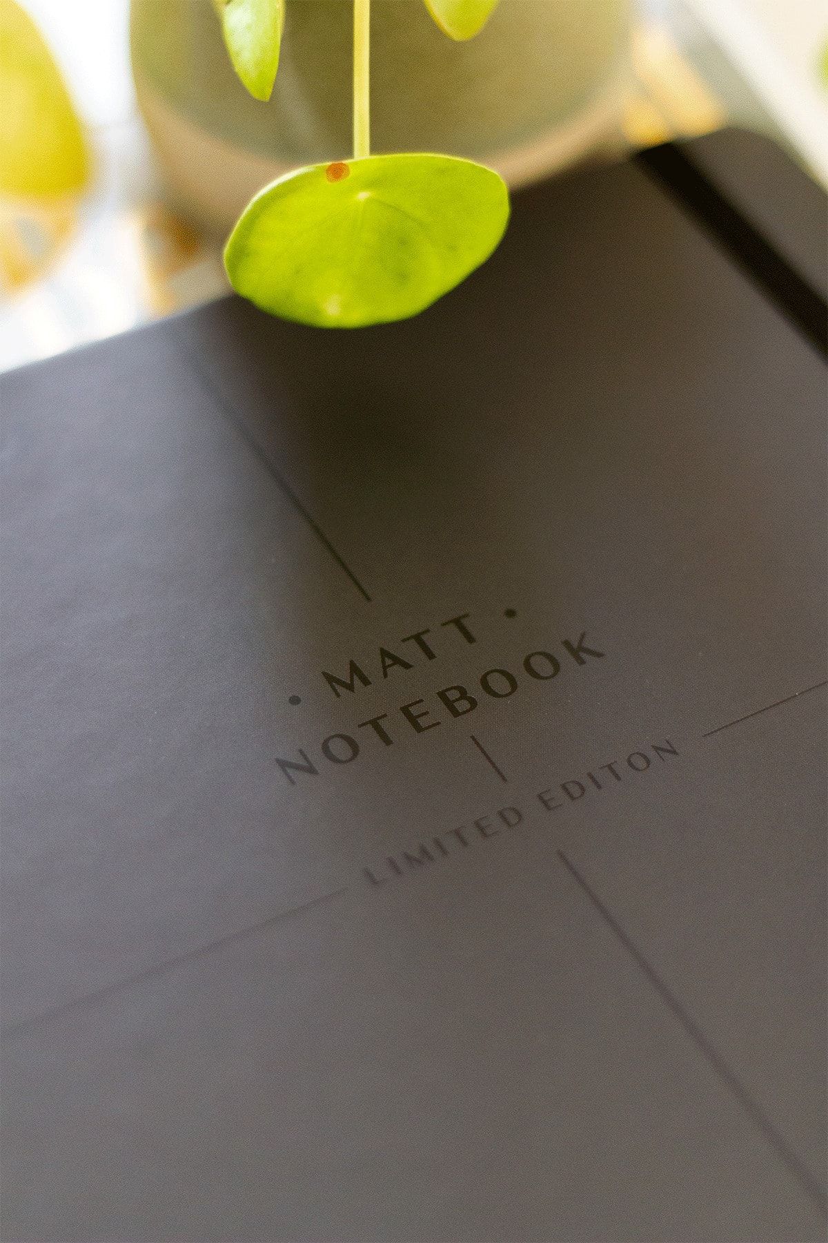 Matt Notebook-دفتر ملاحظات ذو غلاف صلب حلزوني مرن مقاس 20 × 28 سم مقاس A4 ذو مربعات 4