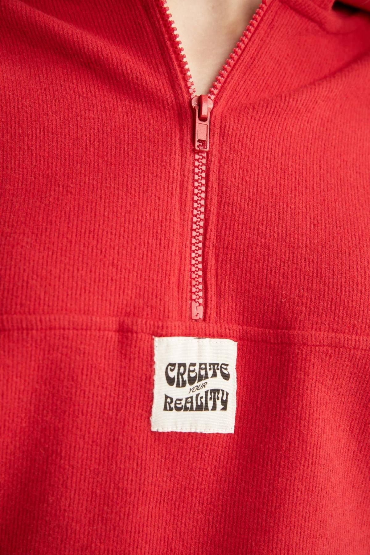 DeFacto-Cool Regular Fit Hooded Sweatshirt 4