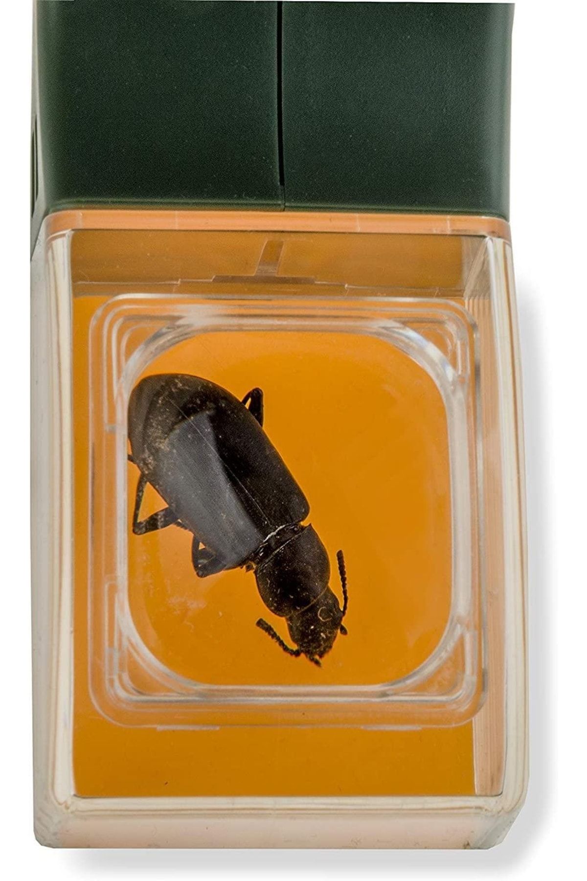 Carson-Bugview Hu-10 Fast Release Bug Capture Vehicle And Magnifying Glass For Children And Adults 5