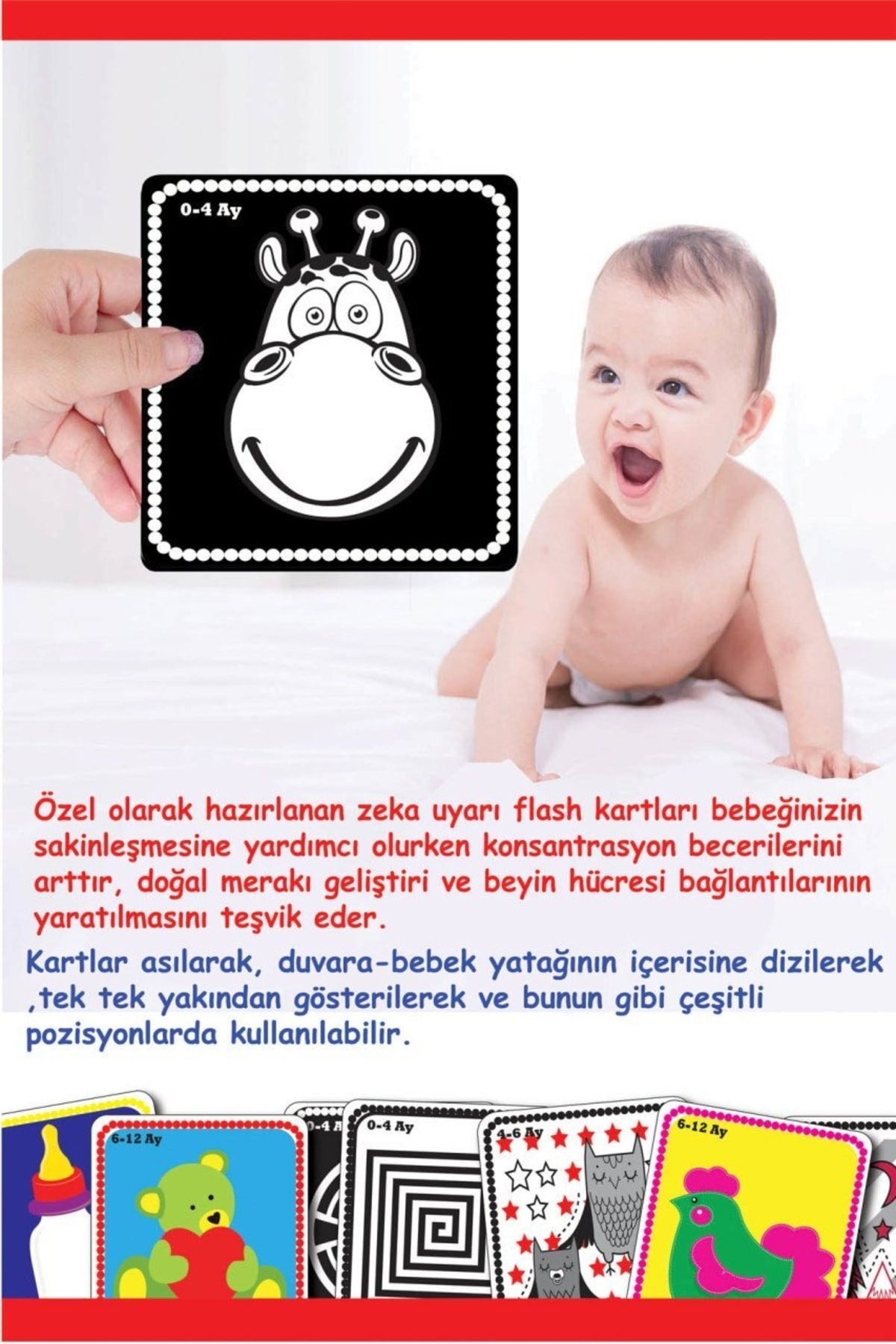 Diytoy Flash Cards Bebeğimin Ilk Zeka Kartları fotoğrafı 4 (önizleme)