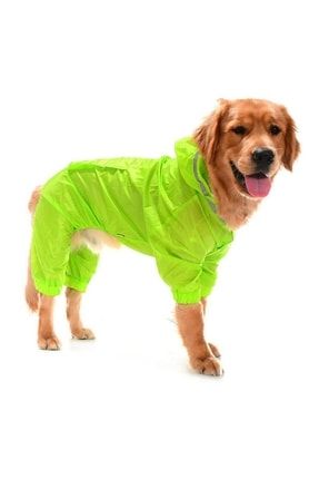 Büyük Irk Paçalı Köpek Yağmurluk - Baggi Yeşil 10444259