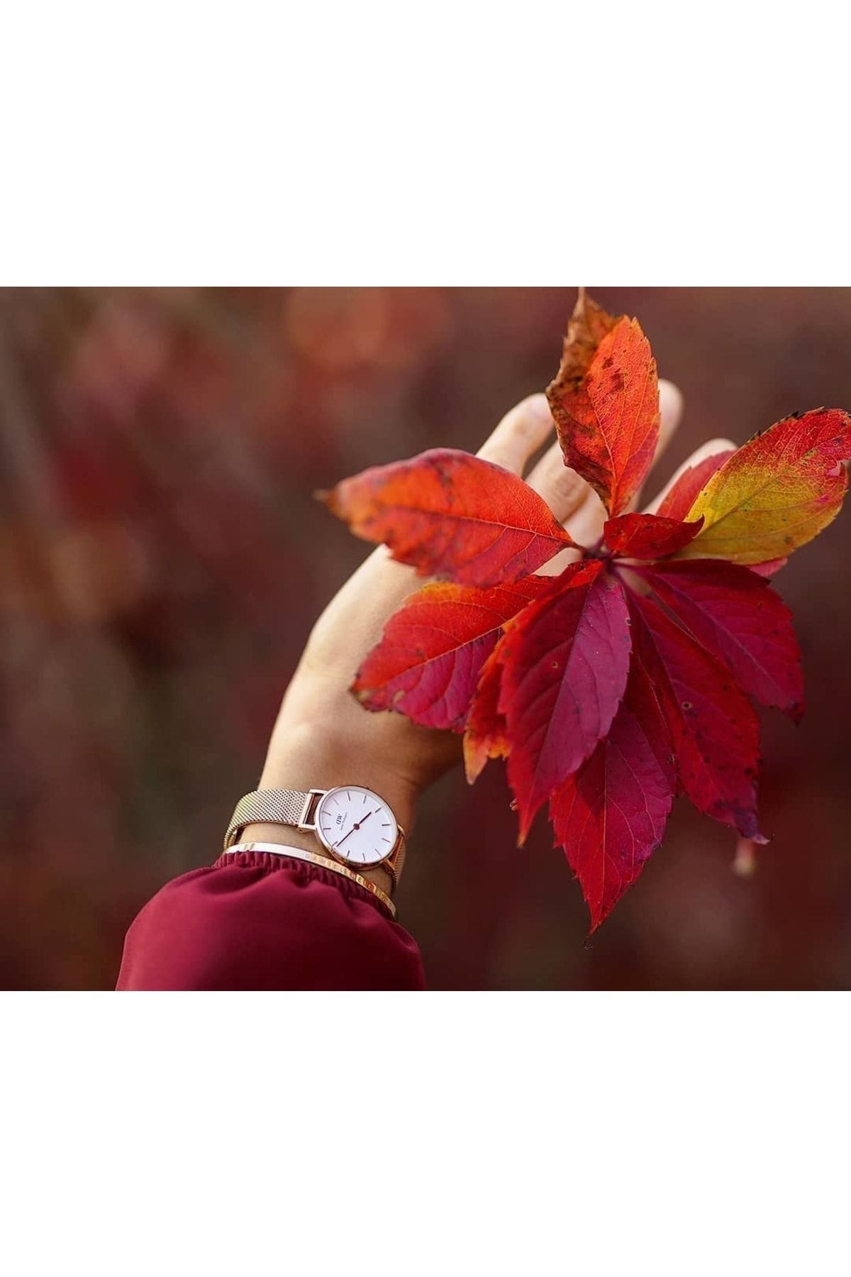 Daniel Wellington Women Rose Gold and White Petite Melrose Watch 28 mm