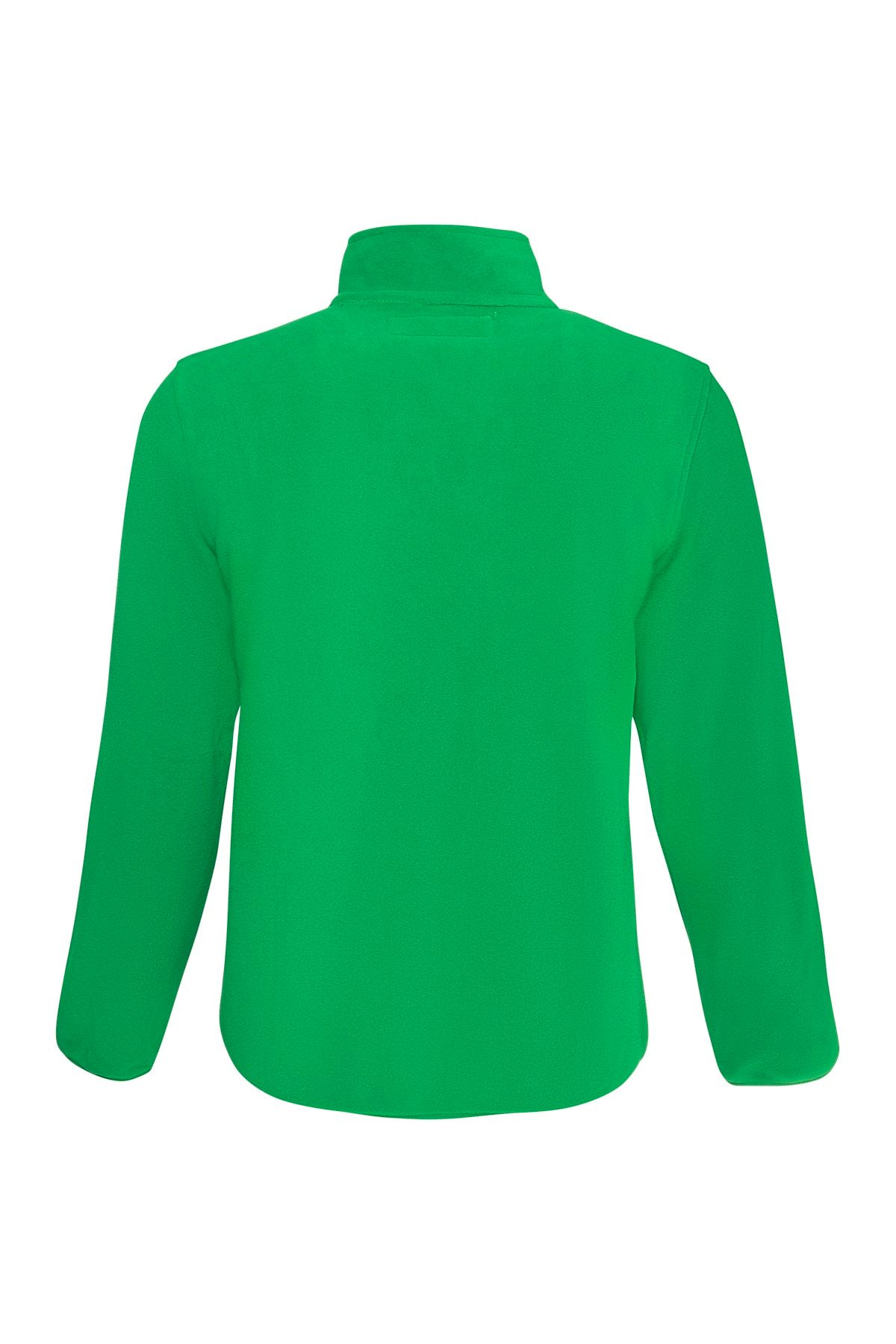 THERMOFORM-Ανδρικό πουλόβερ Fleece - Taksim 22 Green 2