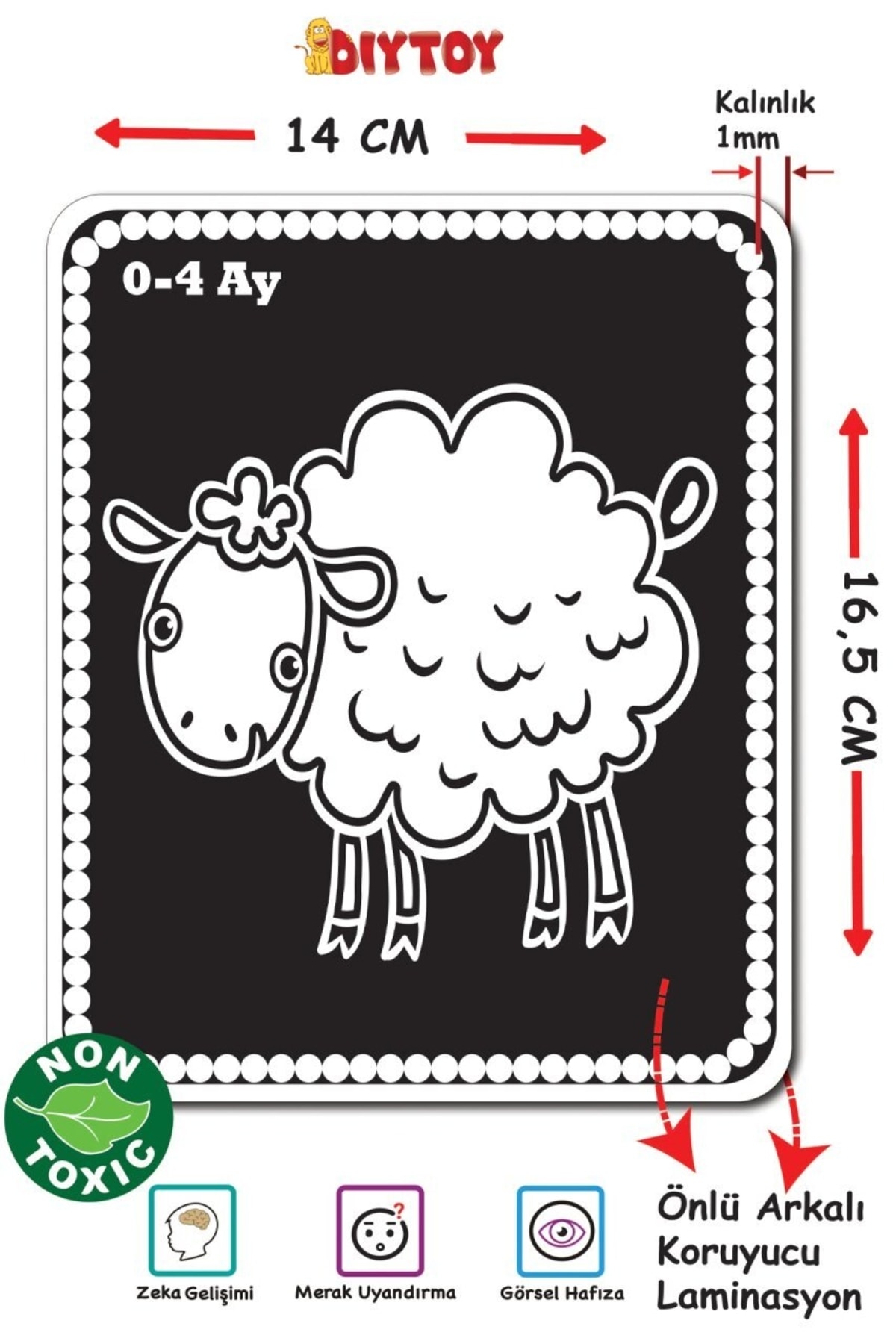 Diytoy Flash Cards Bebeğimin Ilk Zeka Kartları fotoğrafı 3 (önizleme)