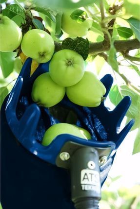 Meyve Toplama Aparatı, Meyve Toplayıcı Set, Sırıksız SOSTO MT