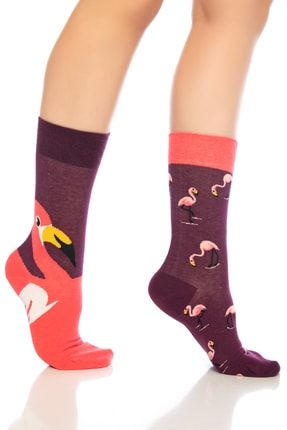 Unisex Bordo Flamingo Renkli Çorap 723