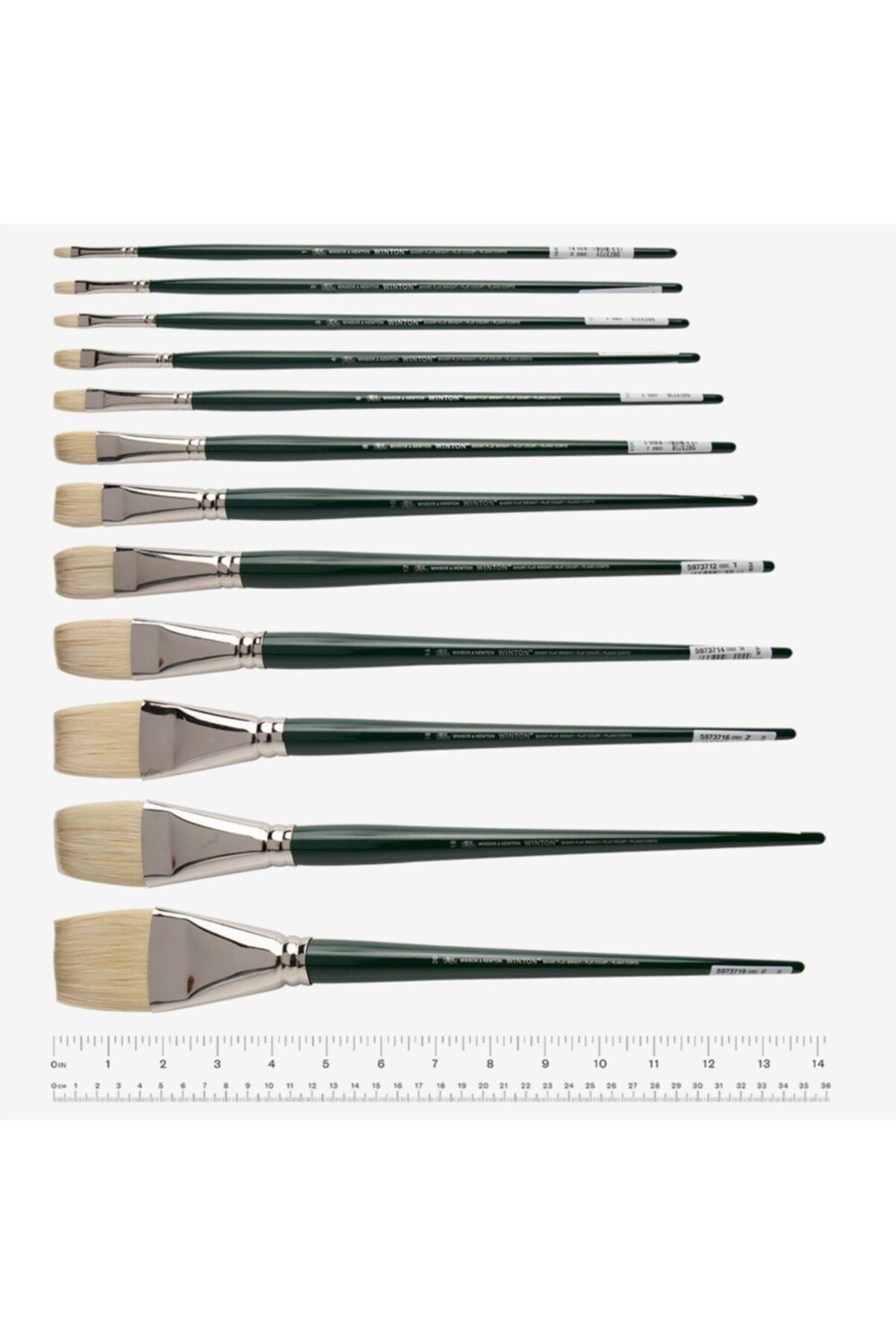 Winsor Newton-Winsor & Newton : Winton : Long Handle Short Flat Brush No : 6 3