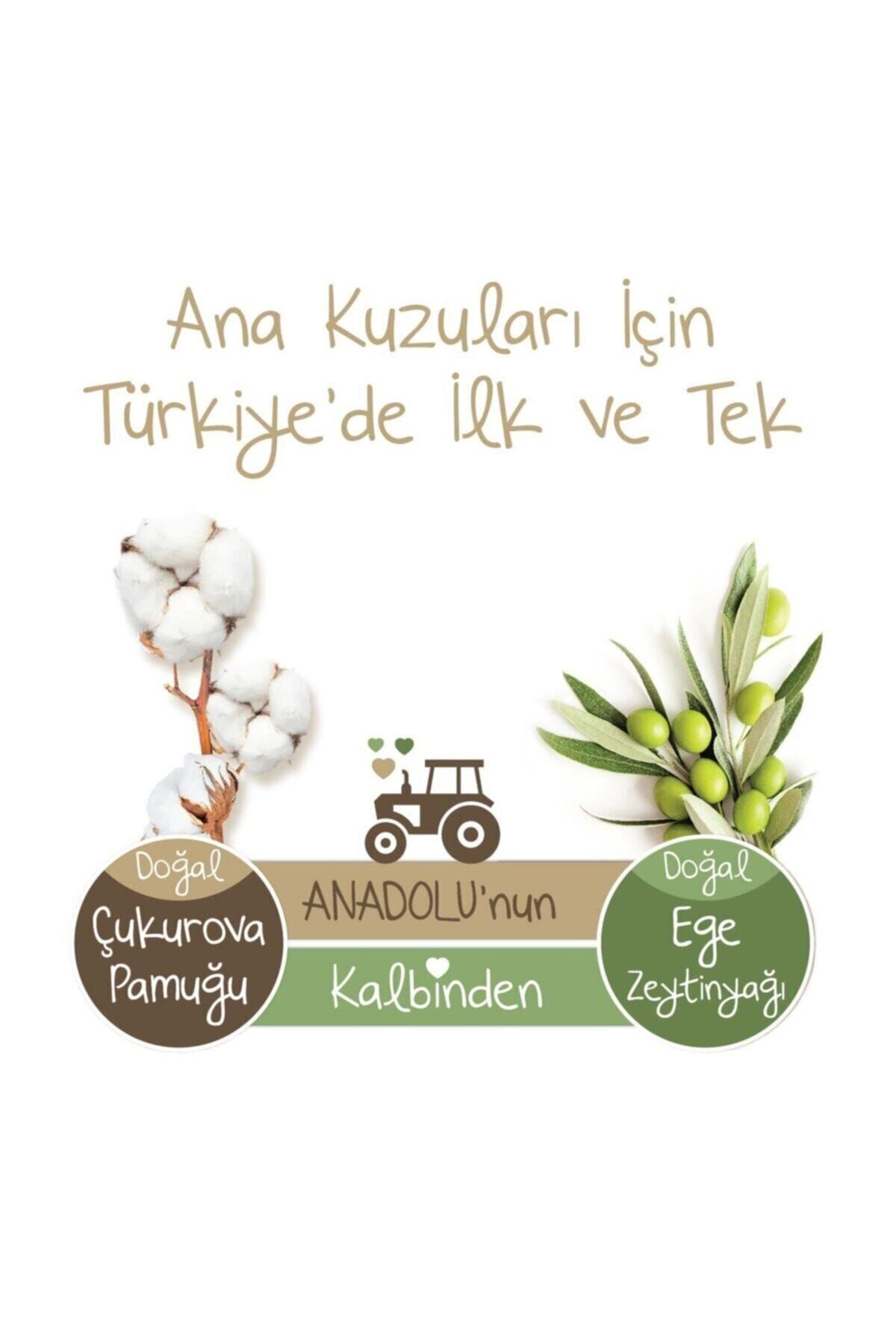 Baby Turco Doğadan 3 Numara Midi 340 Adet ZN7374