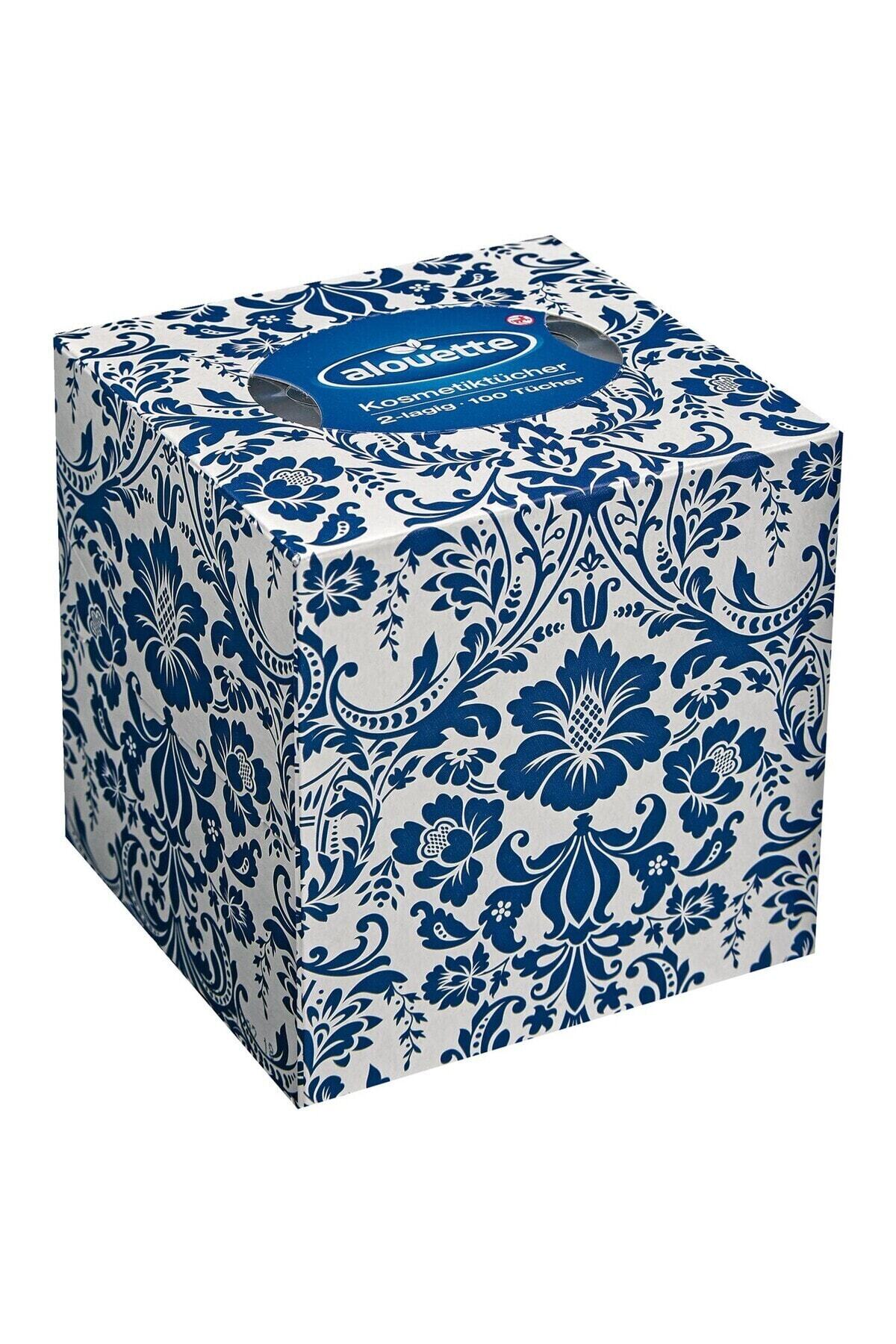 Kutu Mendil 100'lü