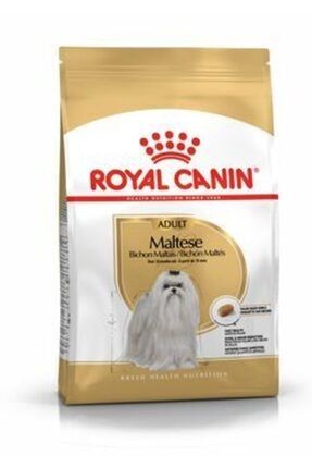 Maltese Terrier Adult Yetişkin Köpek Irk Maması 1,5 kg royalcanin52