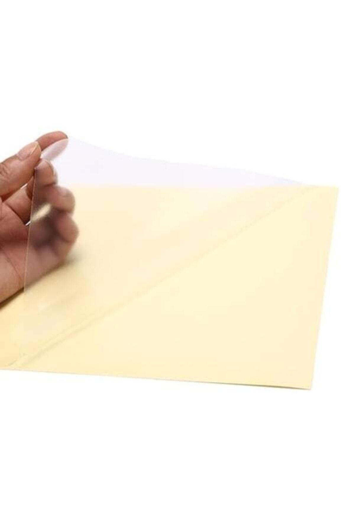 Adestor Şeffaf Etiket Sticker A4 18 Adet Fiyatı, Yorumları - Trendyol