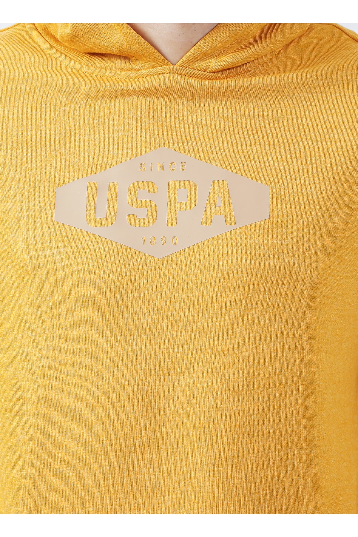 سویشرت مردانه زرد یو اس پولو | 5002939142 اورجینال - تصویر 5