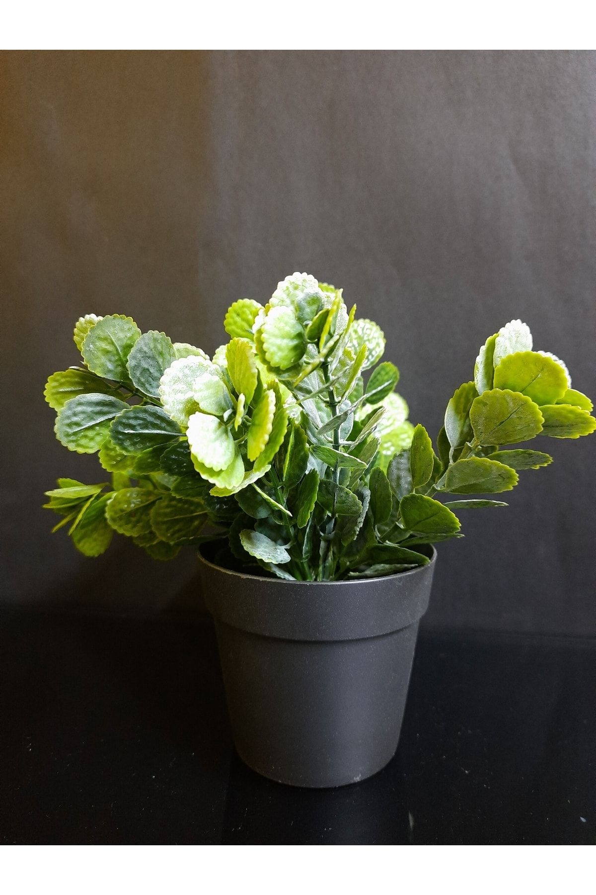 Green artificial flowers new arrivals
