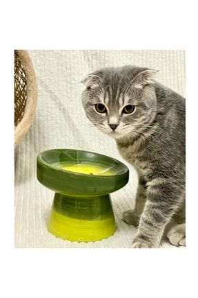 Seramik Kedi Ve Kopek Mama Su Kabı (yeşil-fıstık Yeşili) KKMK101-M2