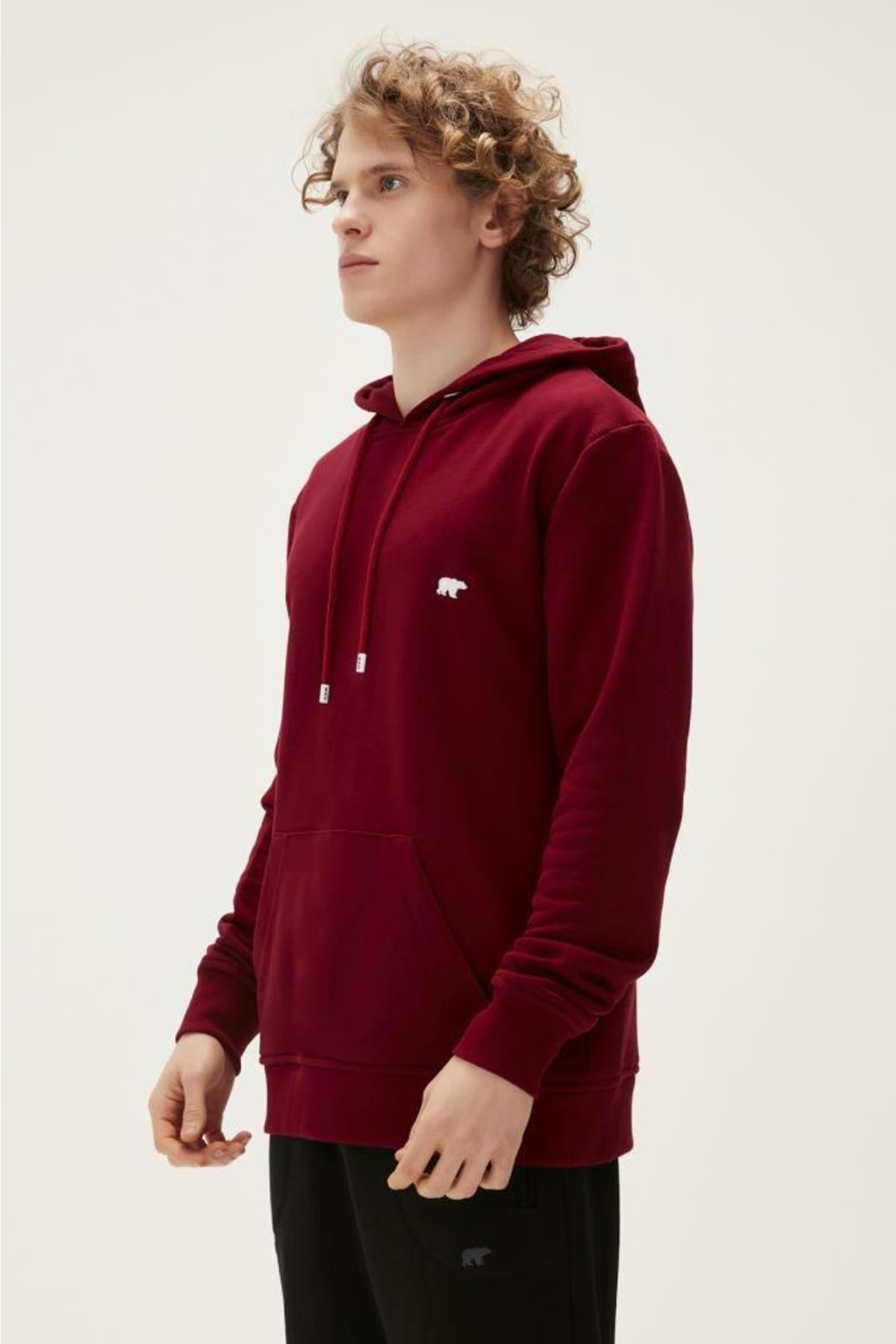 سویشرت مردانه بورگوندی بد بیر | 22.02.12.034 Bordo اورجینال - تصویر 2