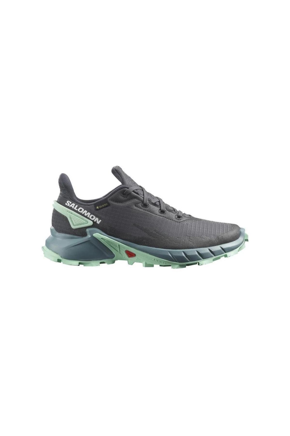 Salomon 470668 Alphacross 4 Gtx W Ebony/trellis Yucca Kadın Outdoor Ayakkabı