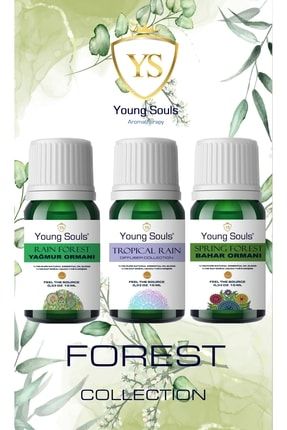 Aromatherapy Forest Collection Spring Forest / Tropical Rain / Rain Forest Yağ Seti 30ml YSFOREST