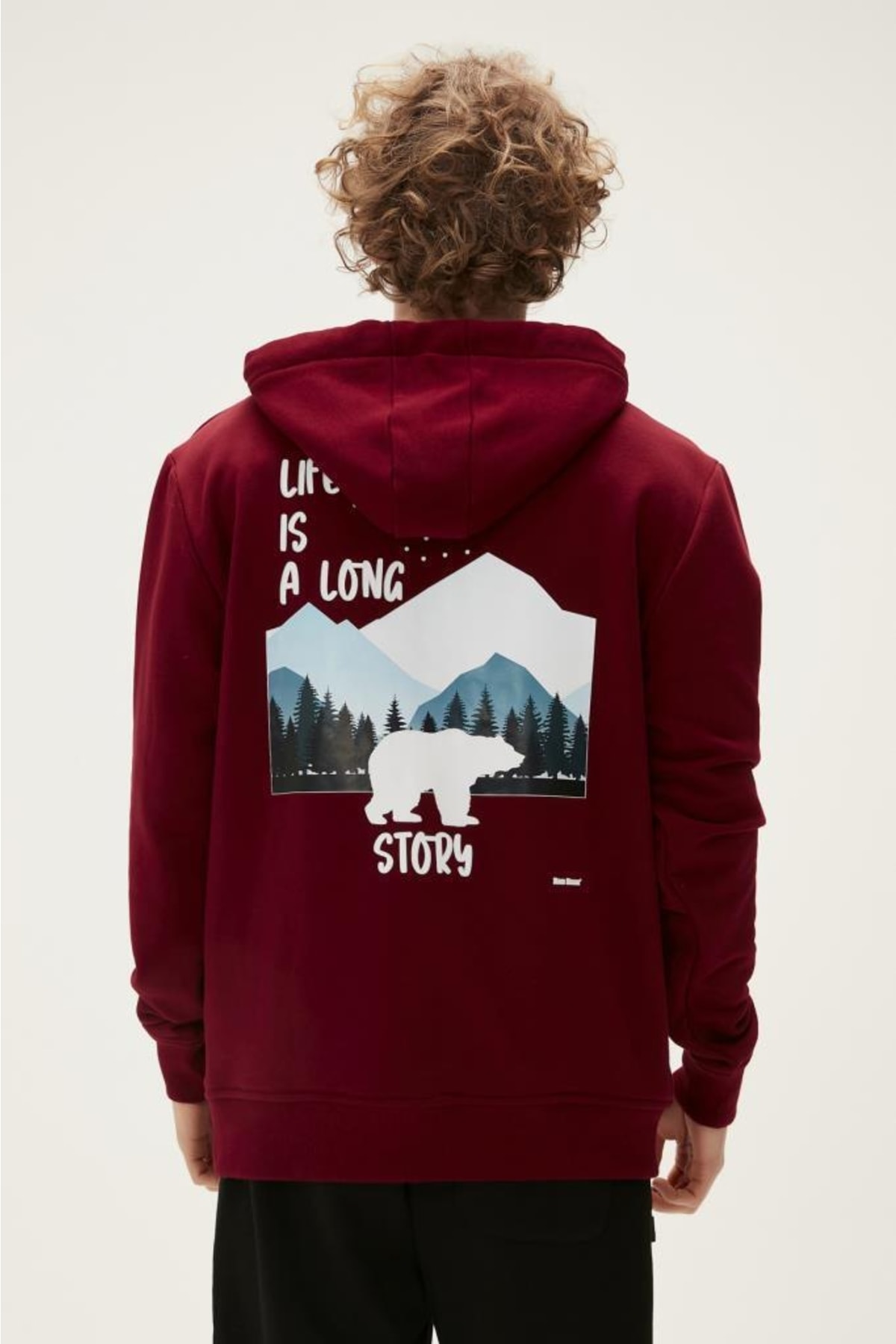 سویشرت مردانه بورگوندی بد بیر | 22.02.12.034 Bordo اورجینال - تصویر 3