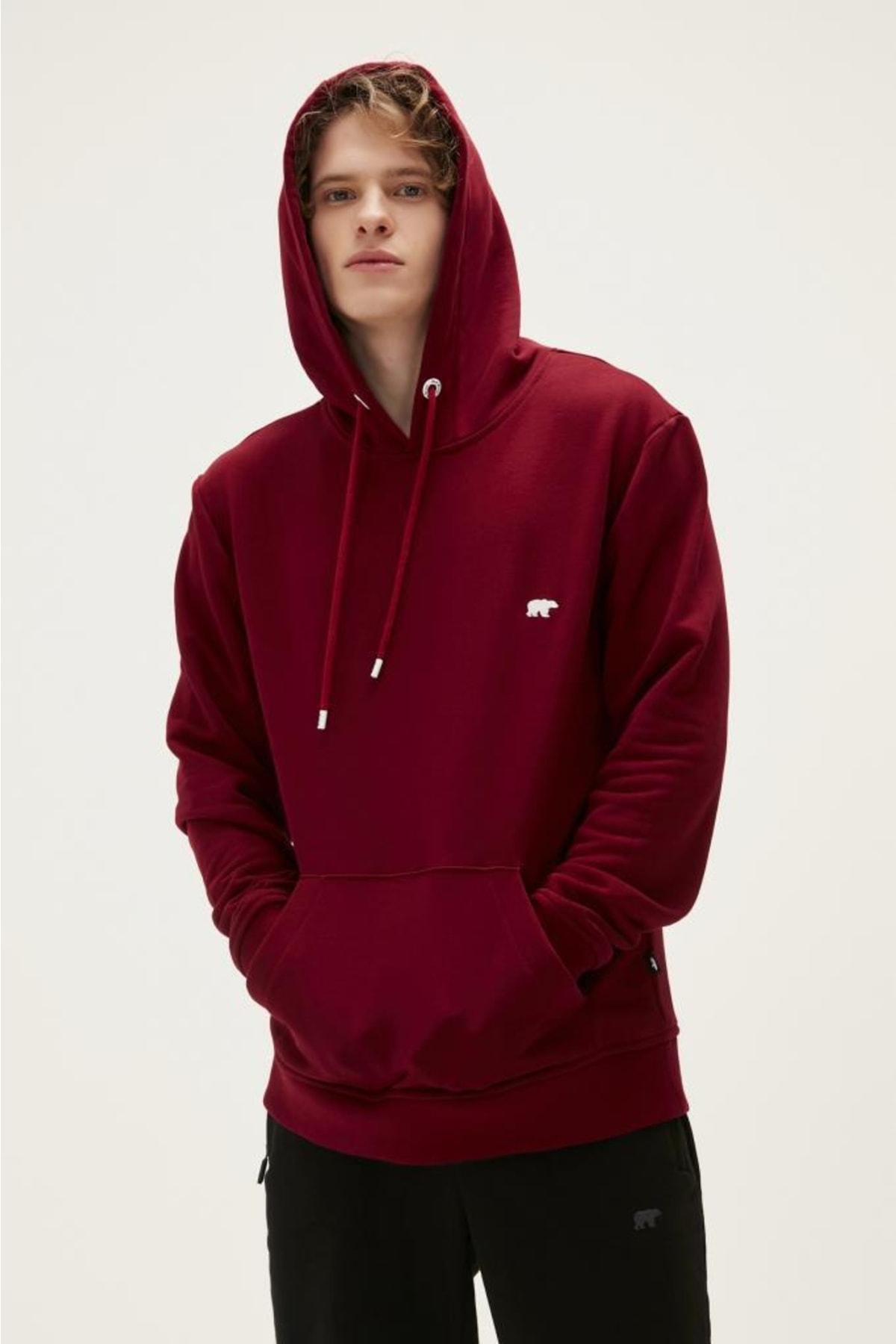 سویشرت مردانه بورگوندی بد بیر | 22.02.12.034 Bordo اورجینال - تصویر 4