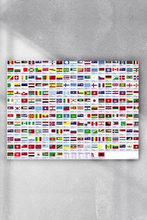 Ülke Bayrakları Eğitim Posteri 50x70cm PSTRMNY11885