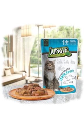 Jungle Yavru Kedi Mamasi Tavuklu 500 Gr Trendyol