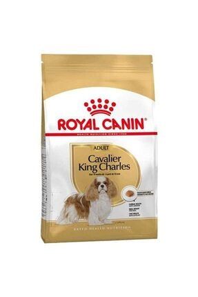 Cavalier King Charles Irk Köpek Maması 1,5 Kg tozlupati4306